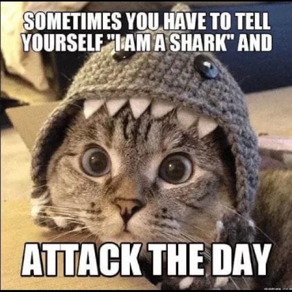 Meet your Posher, Stephanie - Picture 1 of 1